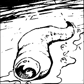 Acid Slug