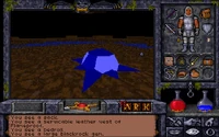 The Blackrock Jewel