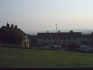 Hogg Avenue