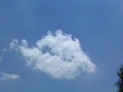 Cumulus fractus