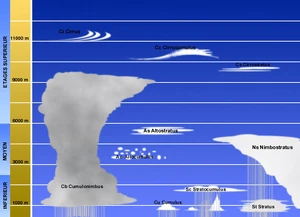 Classification des nuages par altitude d'occurrence (cliquer pour agrandir)