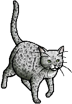 {{{image size}}}px