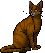 {{{image size}}}px