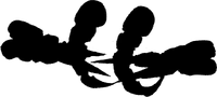 Ajaba