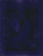 Cover image.