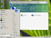 "Windows Classic" mode