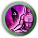 Knowledge of the Life Ritual