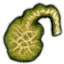 Venom glands