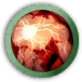 Added Vitality