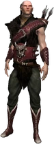 Chireadan