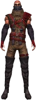 a powerful mage