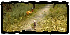 Geralt, the hierophant and a wyvern ally