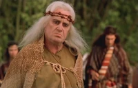 Daniel Olbrychski as Filavandrel in The Hexer.