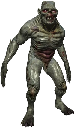 Alghoul