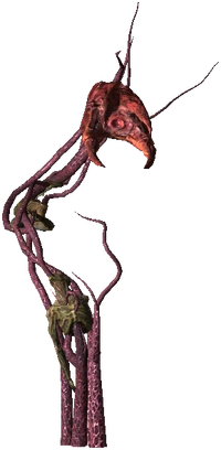 Archespore