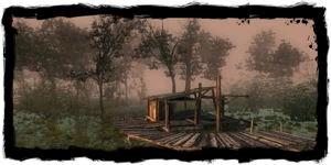 Landing in the Swamp