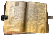 Glossary
