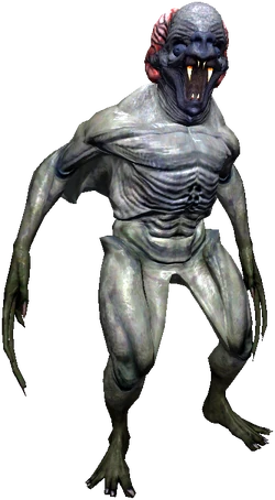 Garkain