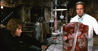 Image:jorobadodvd2.jpg