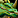 Imagen:IconSmall_DragonGreen.gif
