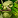 Imagen:IconSmall ForestTroll Male.gif