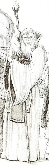 Un sorcier demi-elfe.