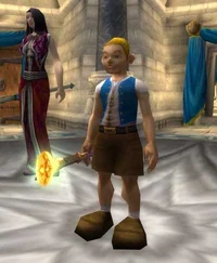 Image de Anduin Llane Wrynn
