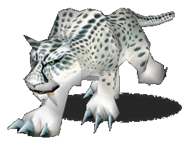 Snow Leopard