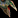 Image:IconSmall Pterrordax.gif
