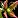 Image:IconSmall Lasher.gif