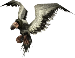 Arctic condor
