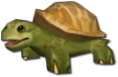 Turtle Box Turtle Box