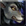 worgen female