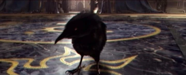 Image:Medivh Crow.JPG
