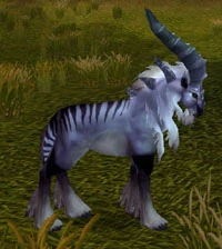 Image of Talbuk Stag