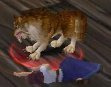 Image of Tito