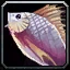 image:inv_misc_fish_07.png