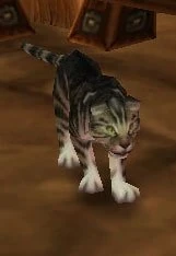 Image of Narnie