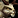Image:IconSmall Wolpertinger.gif