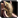 Image:IconSmall Elekk.gif