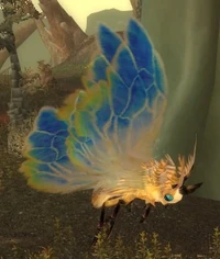 Image of Mature Silkwing