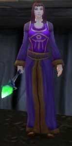 Image of Dalaran Mage