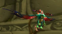Image of Eldreth Darter