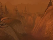 The Infectis Scar