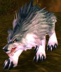 Image of Young Wolf
