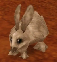 Image of Hare