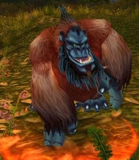 Image of Kurmokk