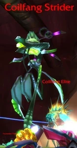 Image of Coilfang Strider