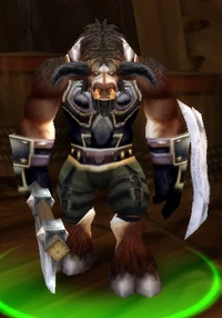 Image of Torm Ragetotem