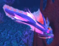 Image of Lagoon Eel